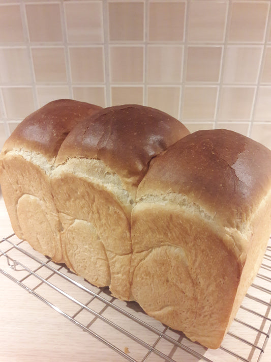 Japansk fjelltoppsloff (stor)